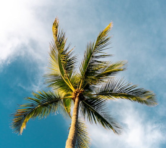 about-us-02 About Us 02