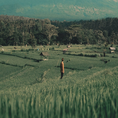 services-01 Services 01