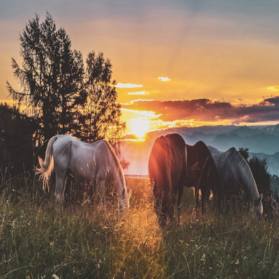 services-02 Services 02