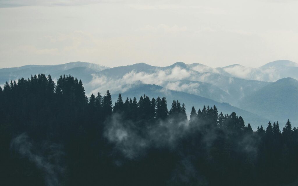 mountains clouds forest fog 9754 A scenic view of misty mountains and dense forest, perfect for nature lovers.