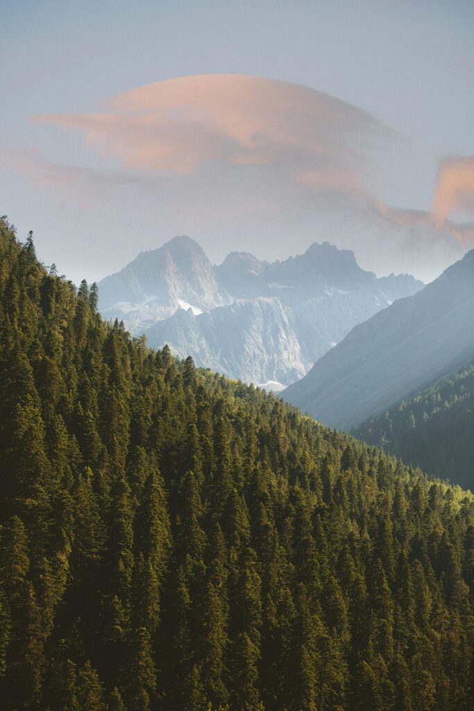 pexels photo 1834399 1834399 Stunning landscape of the evergreen forest and mountains in Teberda, Russia.