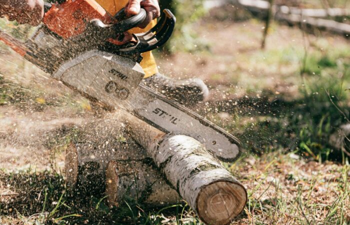 A lumberjack skillfully operating a chainsaw to cut logs in a forest setting.